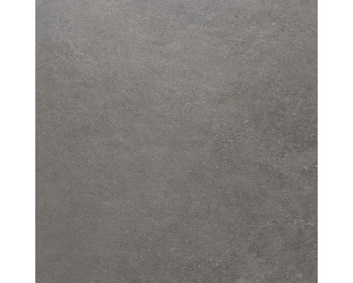 Wand- und Bodenfliese Sandstein schwarz 60x60 cm