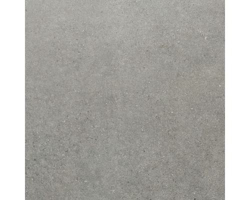 Carrelage sol et mur grès gris 60x60 cm