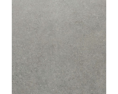 Wand- und Bodenfliese Sandstein grau 60x60 cm Graue Bodenfliese aus Steinzeug