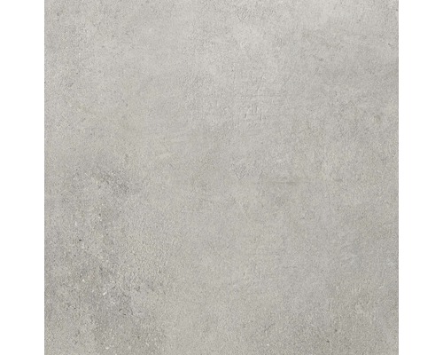 Carrelage sol et mur grès gris clair 60x60 cm