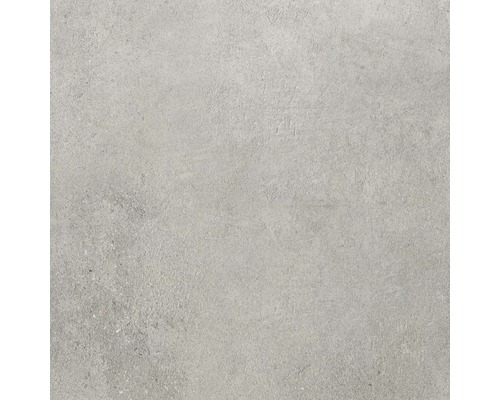 Carrelage sol et mur grès gris clair 60x60 cm Carreau en grès cérame gris