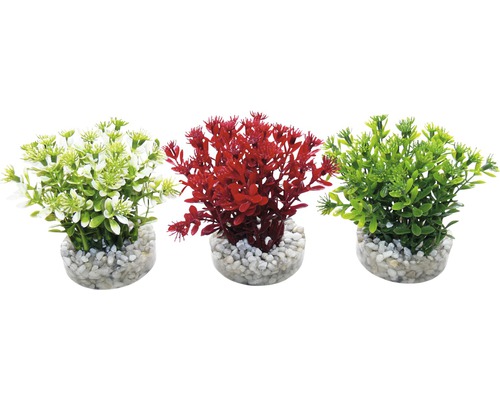 Plante en plastique Sydeco Nano Flwoering Bish 10 cm, couleurs assorties