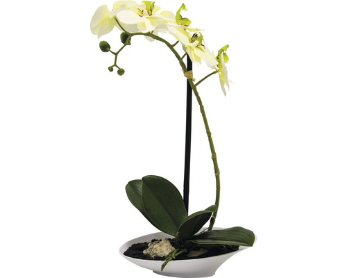 Kunst-Orchidee in Schale H 32 cm creme