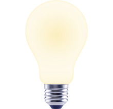 Ampoule avec douille E27