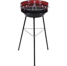 Barbecue boule avec trépied