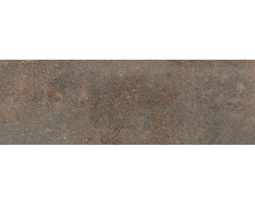 Feinsteinzeug Terrassenplatten Roccia bruno 120 x 40 x 2 cm