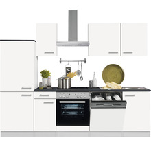 Cuisine avec évier, cuisinière, hotte aspirante et lave-vaisselle