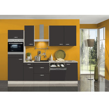 Cuisine moderne avec placards intégrés, évier et lave-vaisselle