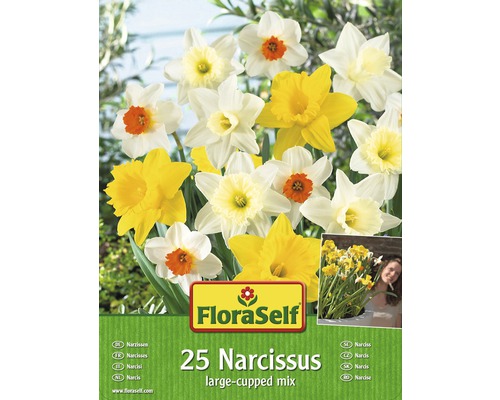 Blumenzwiebel-Vorteilspack FloraSelf® Narzissen Mischung 25 Stk.