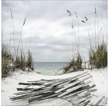 Scène de plage avec barrière en bois, dunes et mer