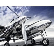 Fotografie eines polierten Flugzeugs vor einem bewölkten Himmel