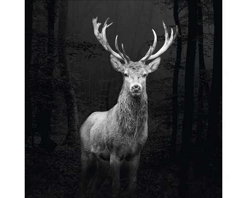Leinwandbild Grey Deer Head 27x27 cm