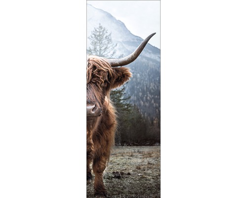 Leinwandbild Highland Cattle 27x77 cm