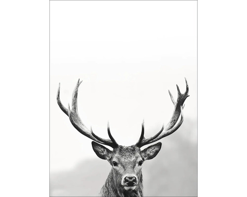 Dekopanel Grey Deer Head llI 30x40 cm