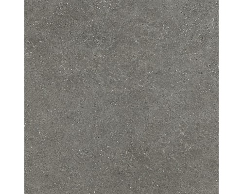 Feinsteinzeug Terrassenplatte Alpen grau glasiert matt 60 x 60 cm