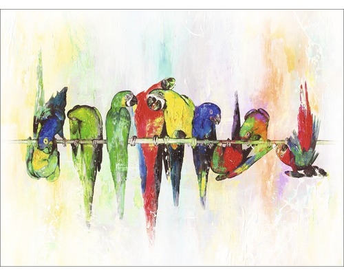 Tableau sur toile Colourful Parrots 57x77 cm