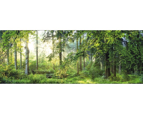 Glasbild Forest Harmony I 80x30 cm