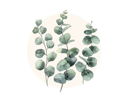 Glasbild Eucalyptus Branches l 50x50 cm