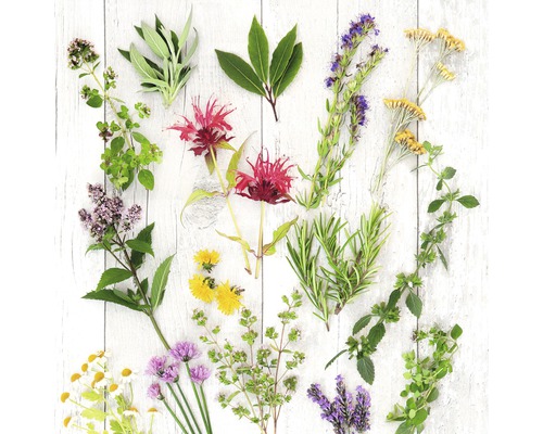 Glasbild Herbs & Flowers 50x50 cm