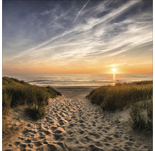 Dünenlandschaft mit Sandweg zum Meer bei Sonnenuntergang