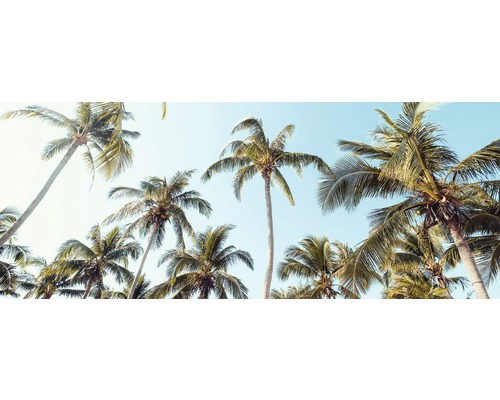 Tableau sur verre Palms On Beach II 50x125 cm