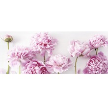 Glasbild Peonies I 50x125 cm