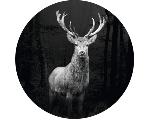 Tableau sur verre rond Grey Deer Head Ø 30 cm
