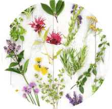 Verschiedene Kräuter und Blüten auf einer hellen Holzoberfläche.