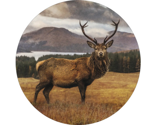 Tableau sur verre rond Deer In A Field Ø 30 cm