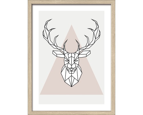 Image encadrée Deer l 33x43 cm