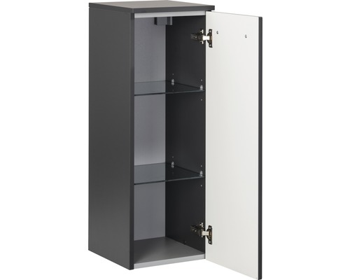 Hängeschrank mit offener Tür und zwei Glasböden