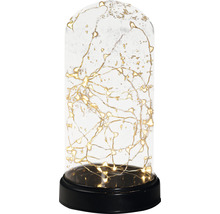 Cloche décorative en verre avec guirlande lumineuse LED