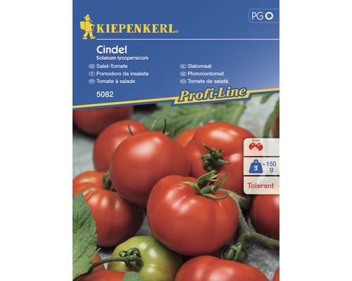 Graines de légumes tomates Cindel F1
