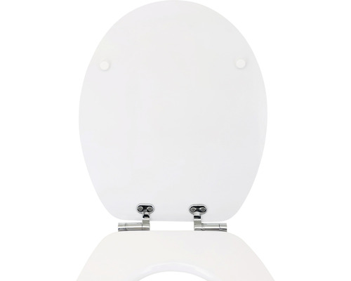 Abattant de WC avec charnières en acier inoxydable