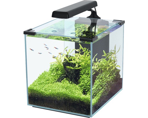Aquarium aquatlantis Nano Cubic 30 avec arrière en verre givré, éclairage LED, filtre, chauffage, pompe noir (sans armoire)