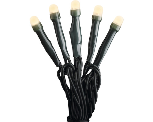Guirlande lumineuse à LED avec lumières blanc chaud et câble noir