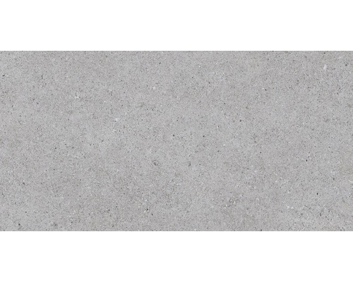 Carrelage pour sol Sassi gris 32x62.5 cm