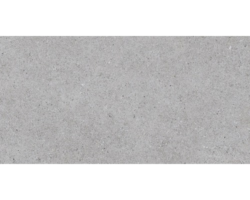 Wand- und Bodenfliese Sassi Gris 32X62,5cm