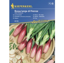 Kiepenkerl Logo. Samenpackung Frühlingszwiebel Rossa Lunga di Firenze