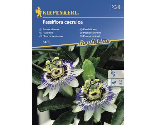 Graines de fleurs Passiflora caerulea