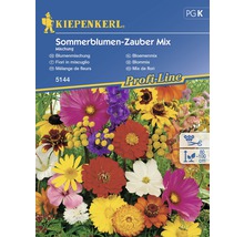 Blumenwiesensamen Sommerblumenzauber Mix-thumb-0