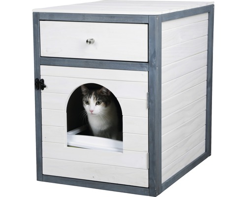 Chat dans des toilettes pour chat avec tiroir