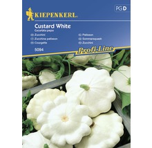 Gemüsesamen Zucchini Custard White