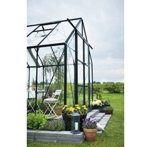 Gewächshaus Halls Magnum 128 9,9 m² Blankglas 3 mm 257x384 cm Aluminium grün