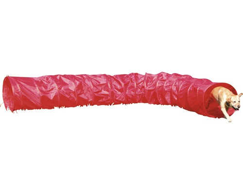 Tunnel d''agilité rouge pour chien avec chien