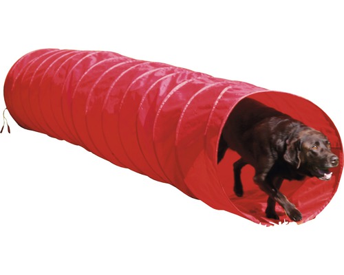 Tunnel d''agilité rouge pour chien avec un chien marron qui le traverse