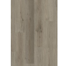 Rigid Vinylboden 6.0 Redonda-thumb-2 Rigid Vinylboden 6.0 Redonda-thumb-2