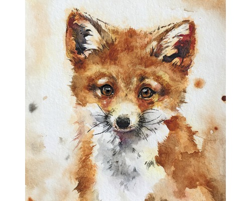 Leinwandbild Fox 30x30 cm