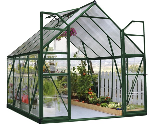 Serre avec des plantes