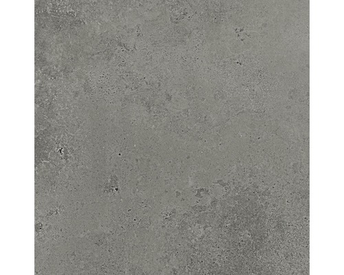 Feinsteinzeug Wand- und Bodenfliese Candy grey 59,8 x 59,8 cm rektifiziert